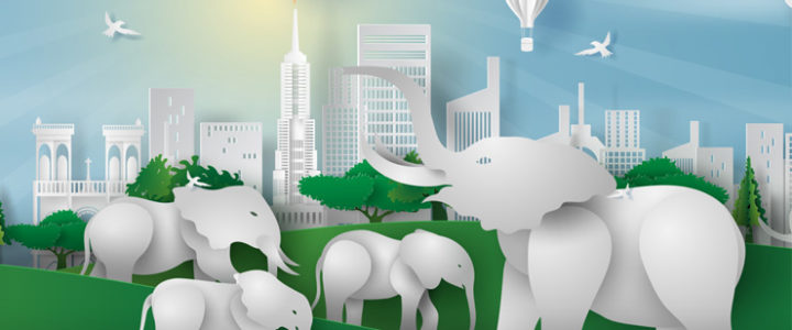 Earth Day is finally here! Learn 5 Ways You Can Celebrate Earth Day!