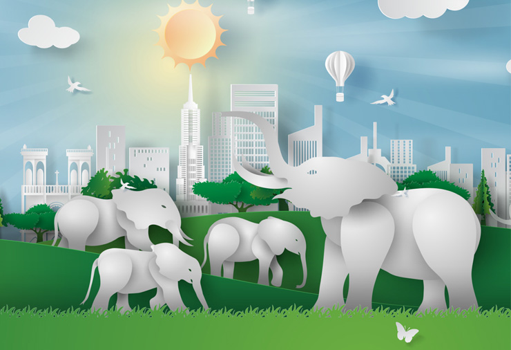 5 Ways to Celebrate Earth Day 2020