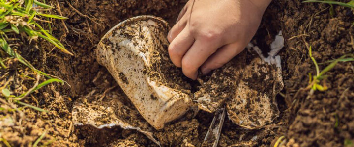 Desperately Seeking Biodegradable