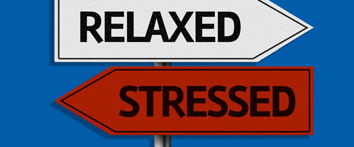 5 Ways to Destress Before the Holiday Rush 5 Ways to Destress Before the Holiday Rush
