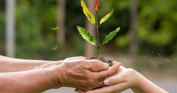 Double A: A Greener Tomorrow Starts with Better Paper